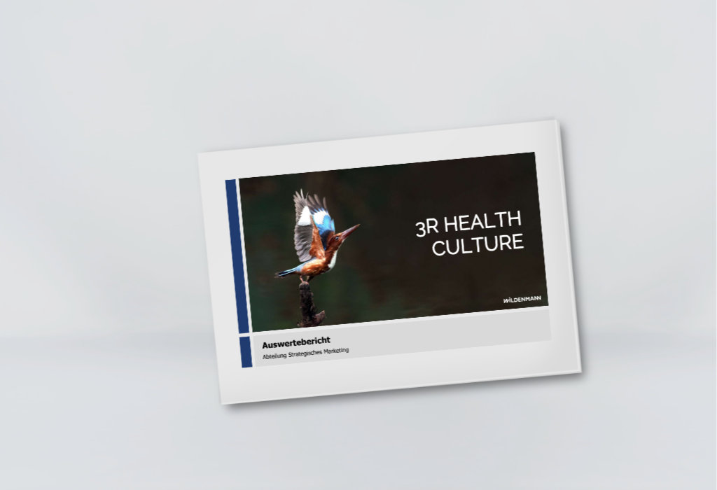 3R Health Culture - Analyse der Gesundheit 